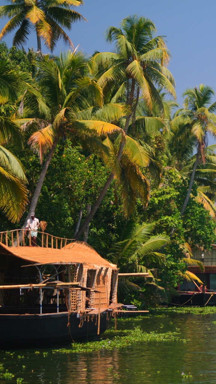 Maison en Bois Marron Sur un Plan D'eau Près D'arbres Verts Pendant la Journée. Wallpaper in 720x1280 Resolution