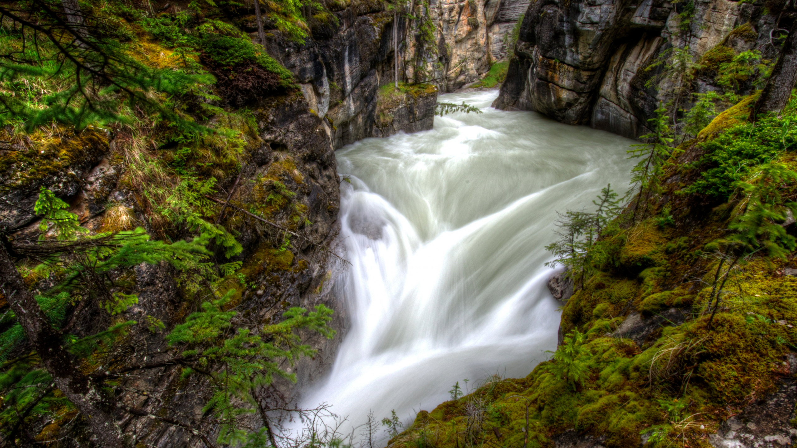 Time Lapse Photography of River. Wallpaper in 2560x1440 Resolution