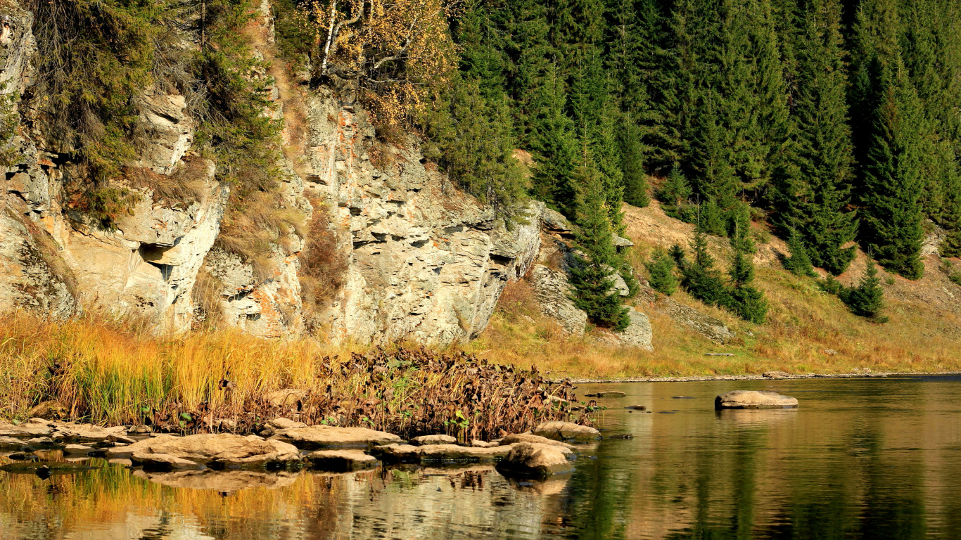 Green Trees Beside River During Daytime. Wallpaper in 1366x768 Resolution