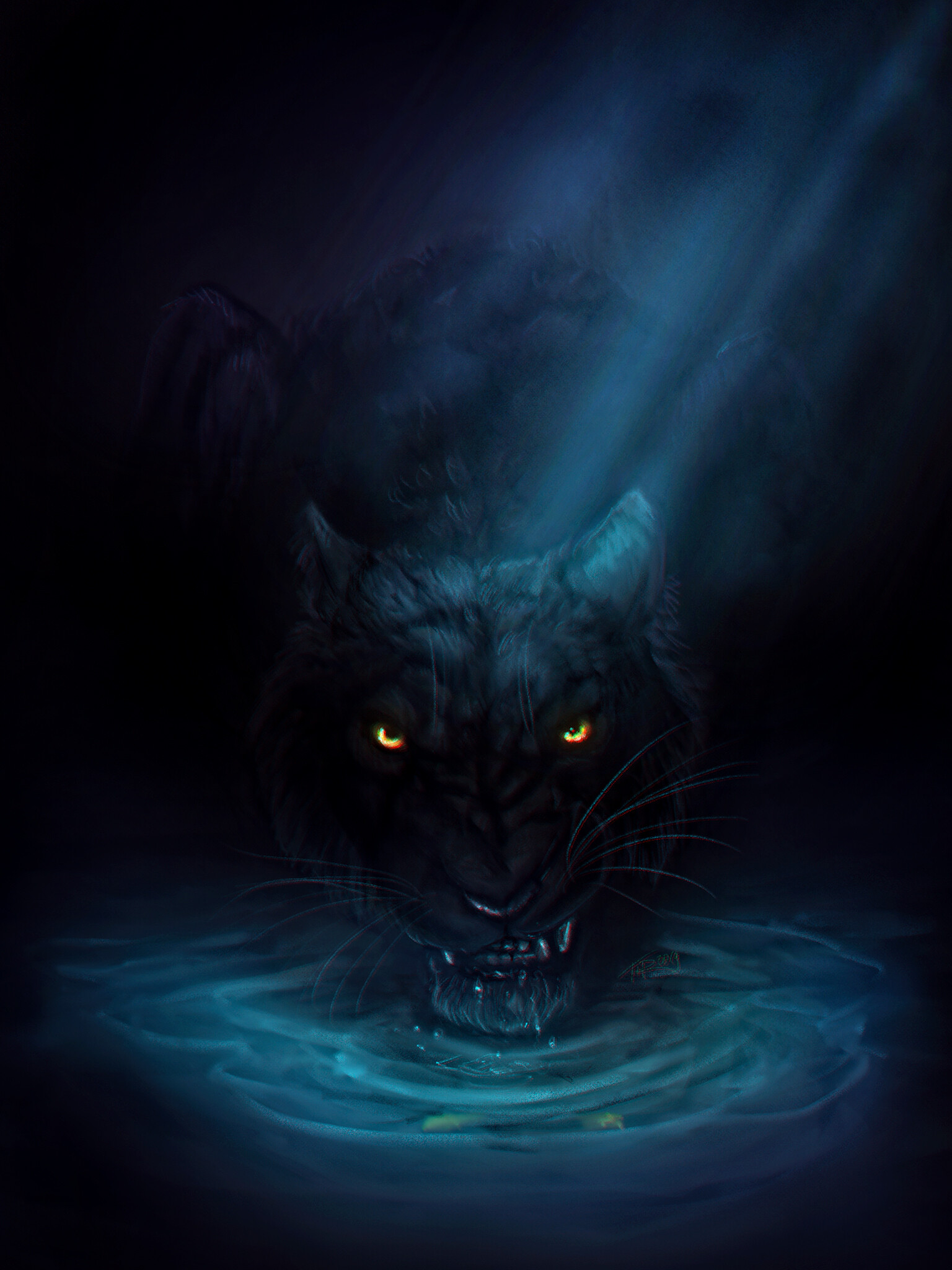 Les Fonds D Ecran Chat Noir Dans L 39 Eau Avec Des Lumieres Bleues Les Images Et Les Photos Gratuits