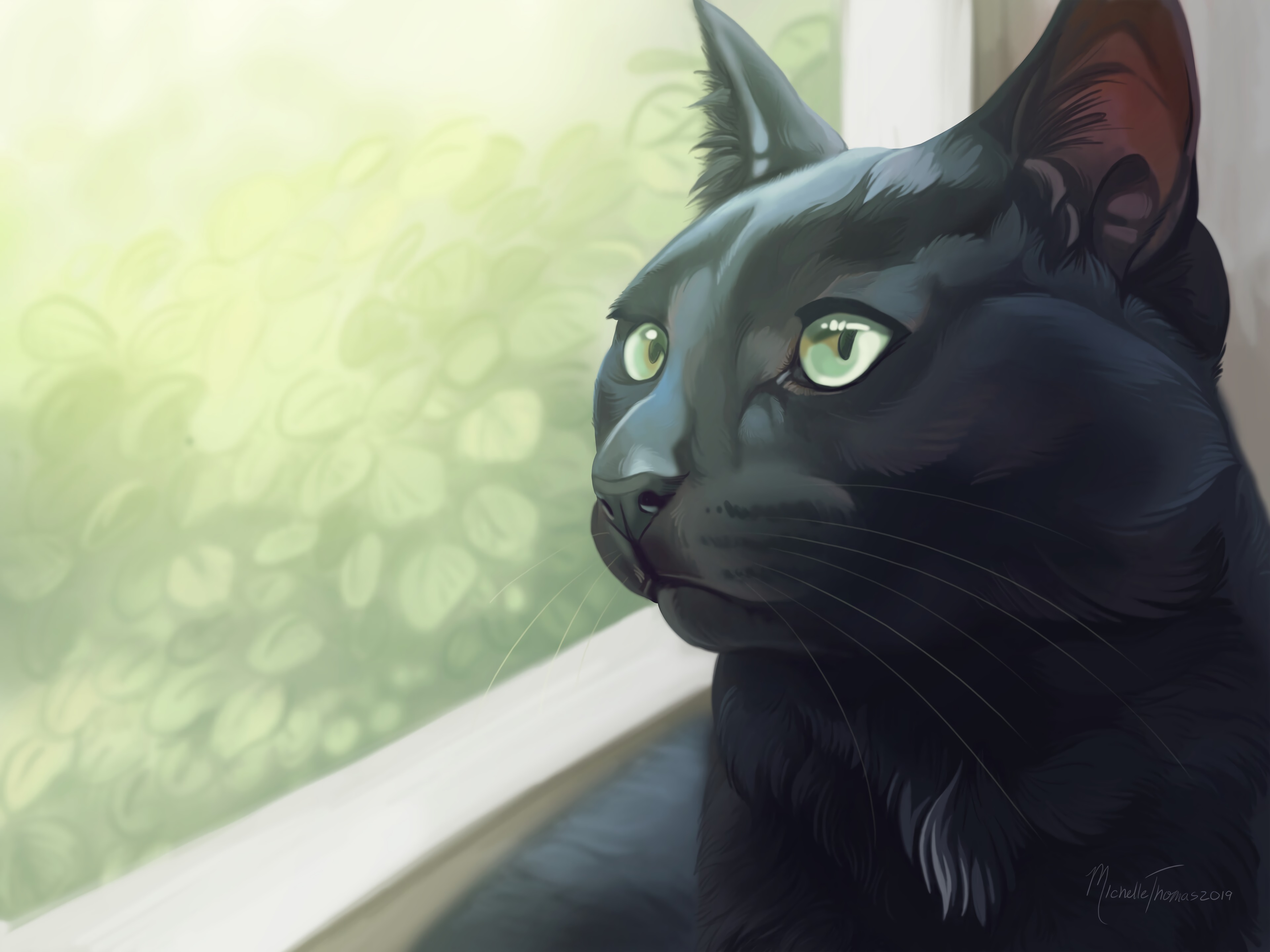 Les Fonds D Ecran Chat Noir Sur Textile Blanc Les Images Et Les Photos Gratuits