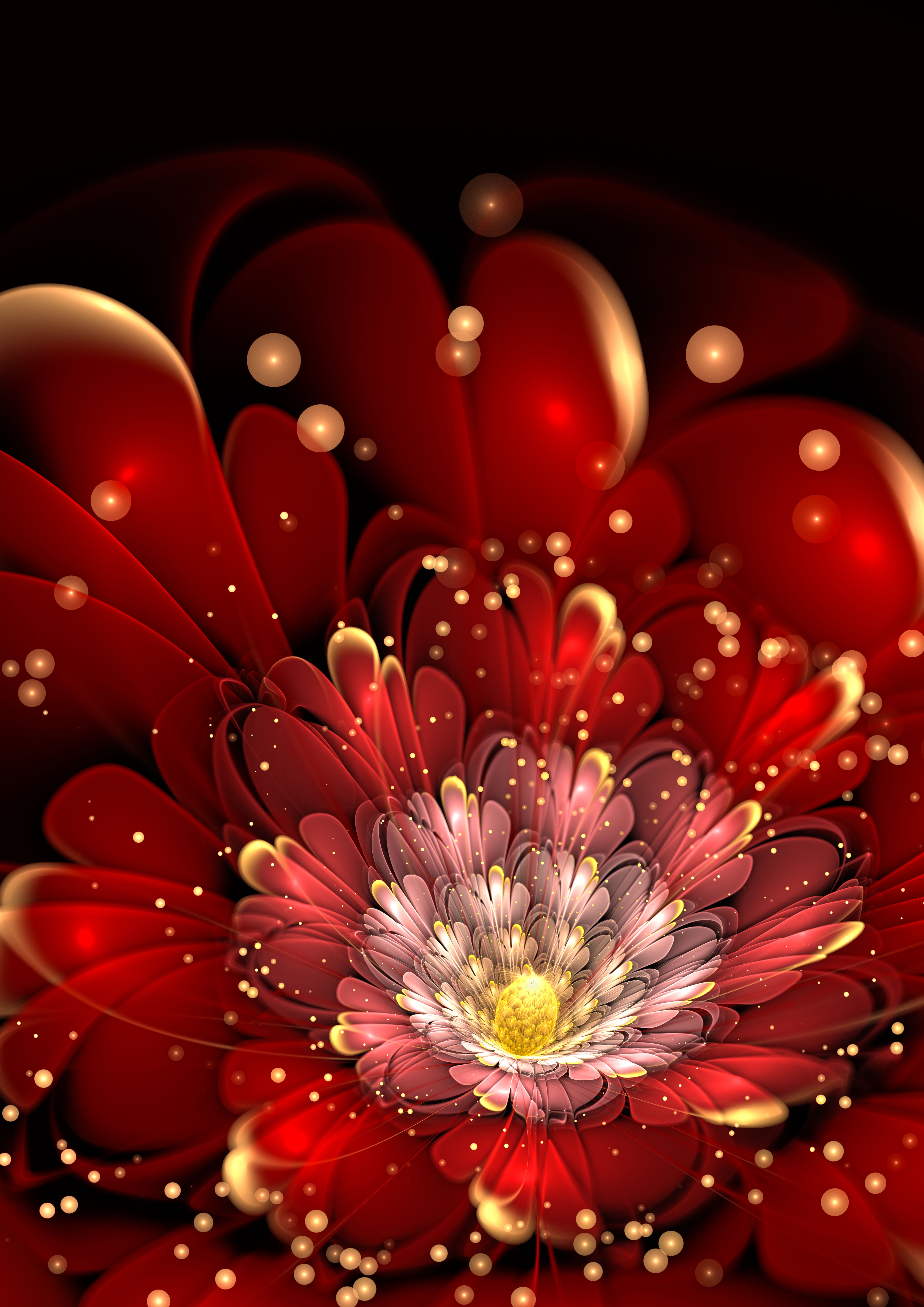 Kostenlose Hintergrundbilder Rote Und Weisse Blume In Der Makrofotografie Bilder Fur Ihren Desktop Und Fotos