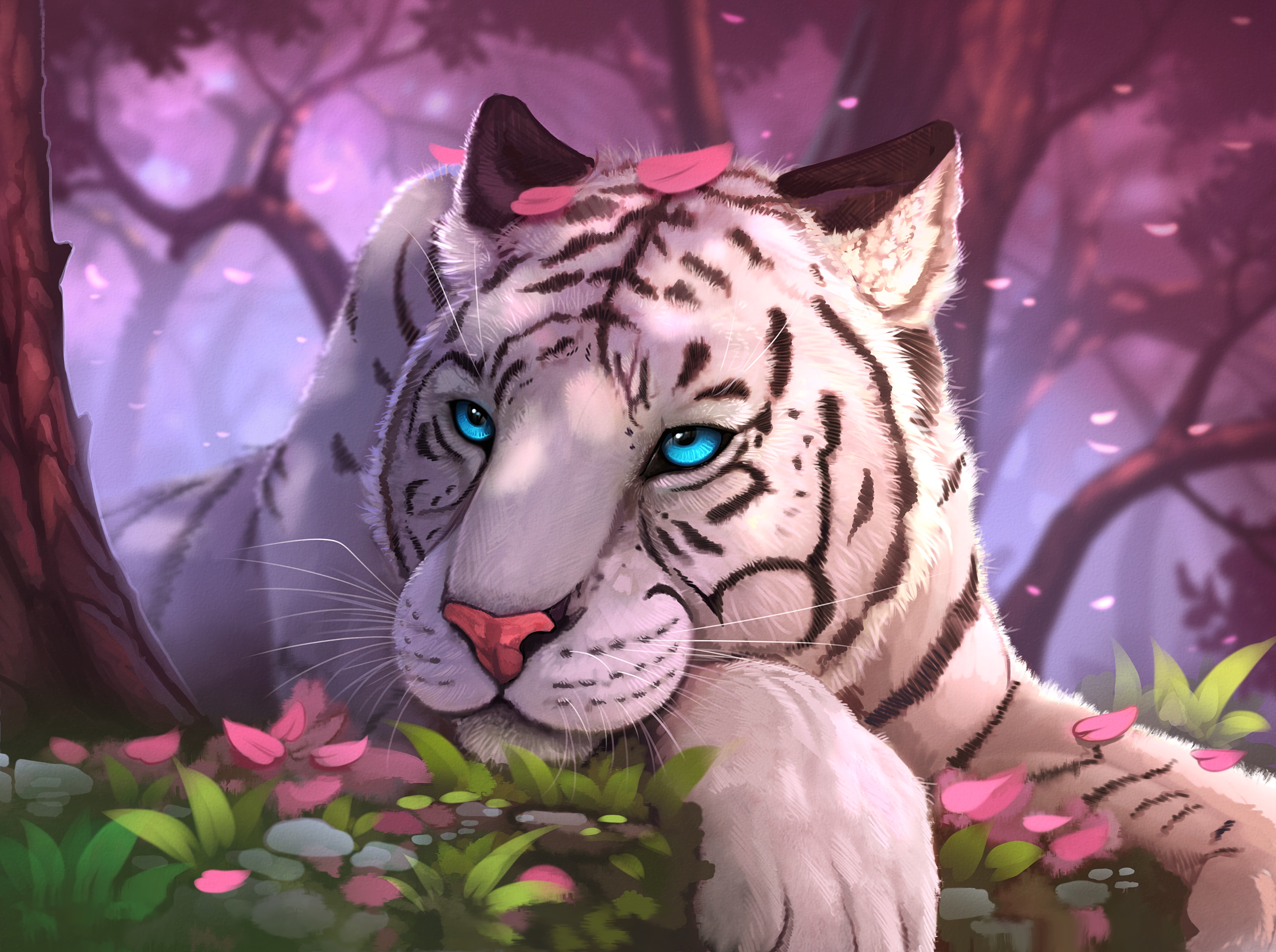 Les Fonds D Ecran Bebe Tigre Blanc Et Noir Sur L 39 Herbe Verte Les Images Et Les Photos Gratuits Les Fonds D Ecran Bebe Tigre Blanc Et Noir Sur L 39 Herbe Verte Les Images Et Les Photos Gratuits