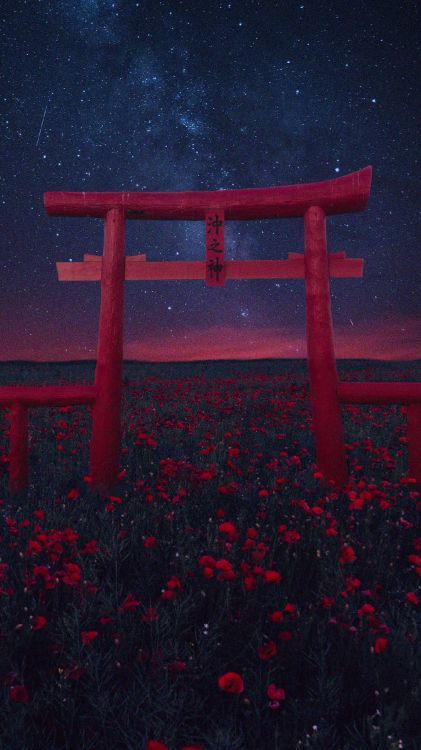 气氛, 牌坊, 红色的, 木本植物, 自然景观 壁纸 1440x2560 允许