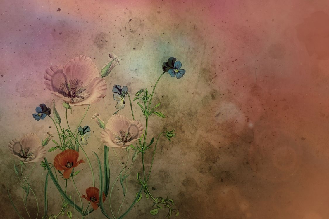 Pintura de Flores Blancas y Marrones. Wallpaper in 3318x2212 Resolution