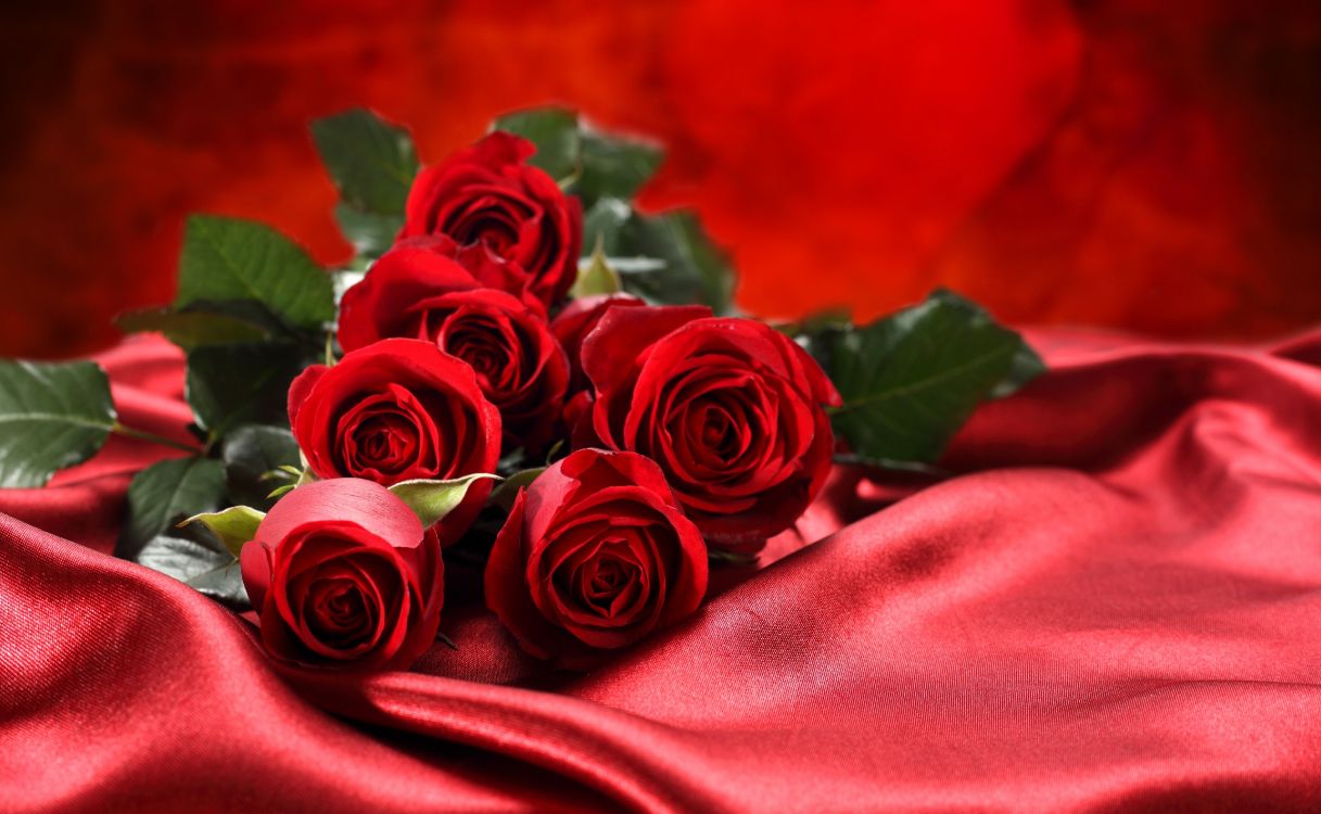 Roses Rouges Sur Textile Rouge. Wallpaper in 5000x3081 Resolution