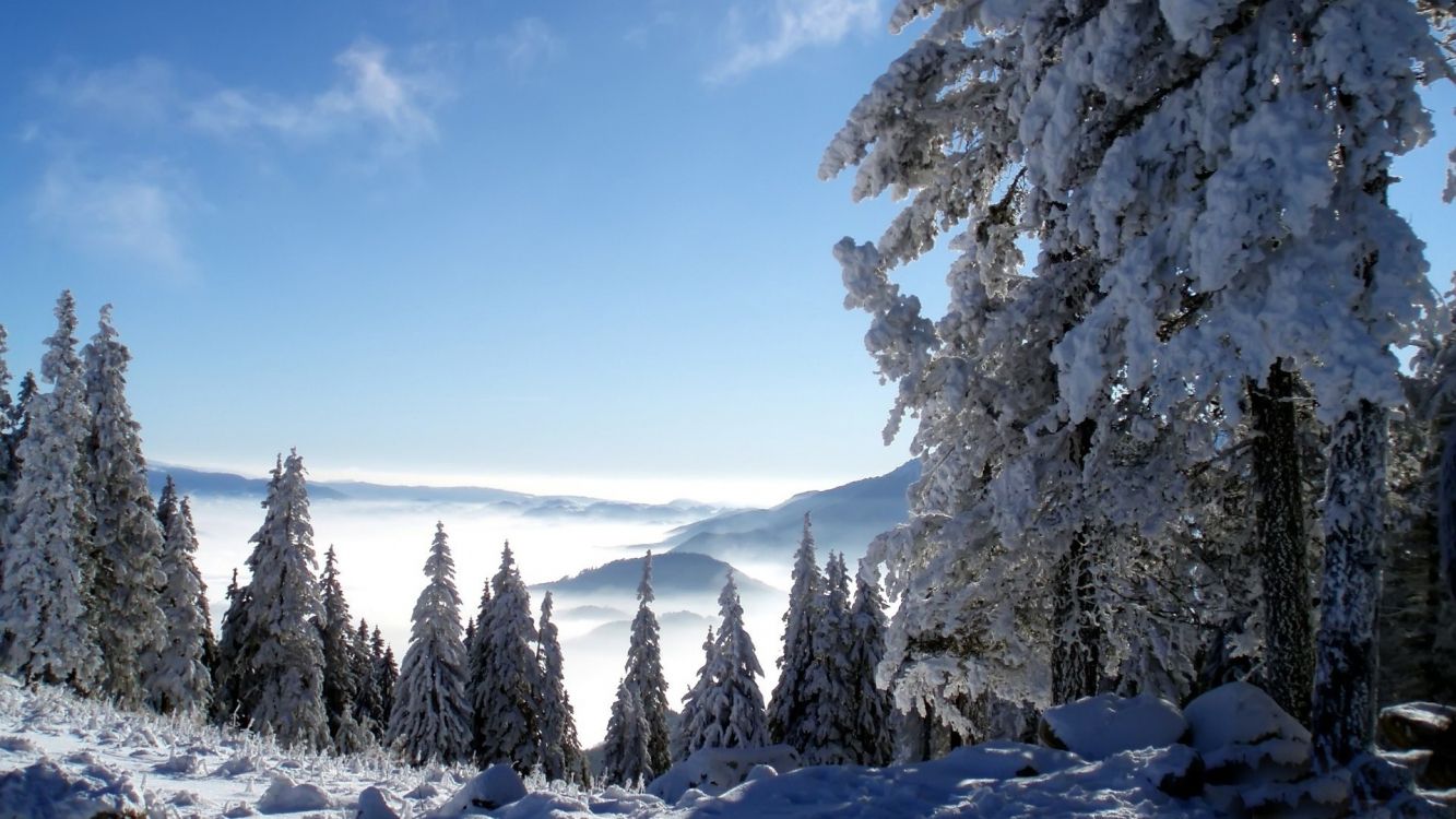冬天, 性质, 冻结, 荒野, 山脉 壁纸 3840x2160 允许