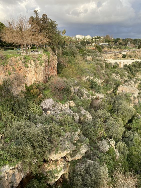 Végétation, Biome, Les Landes, Affleurement, Paysage Naturel. Wallpaper in 1536x2048 Resolution