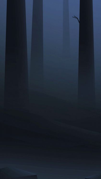 Atmosphère, Thermochimie, Sciences, Gris, Brouillard. Wallpaper in 1080x1920 Resolution
