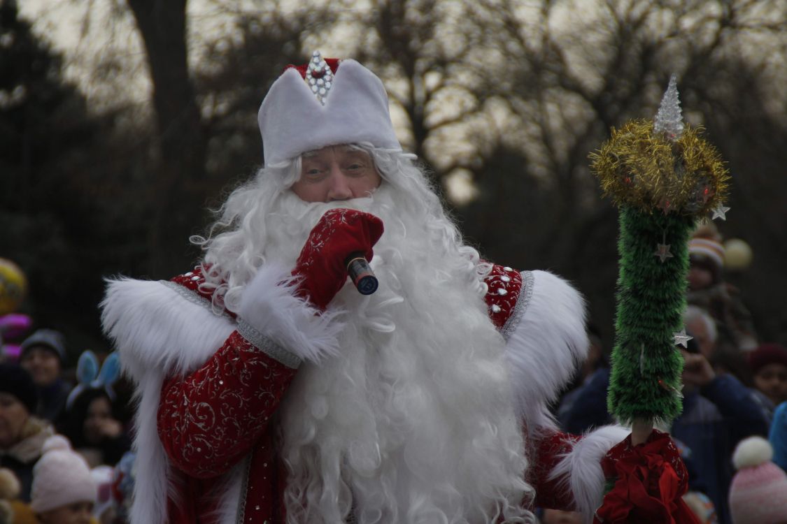 Ded Moroz, Santa Claus, Le Jour De Noël, Festival, Tradition. Wallpaper in 2592x1728 Resolution