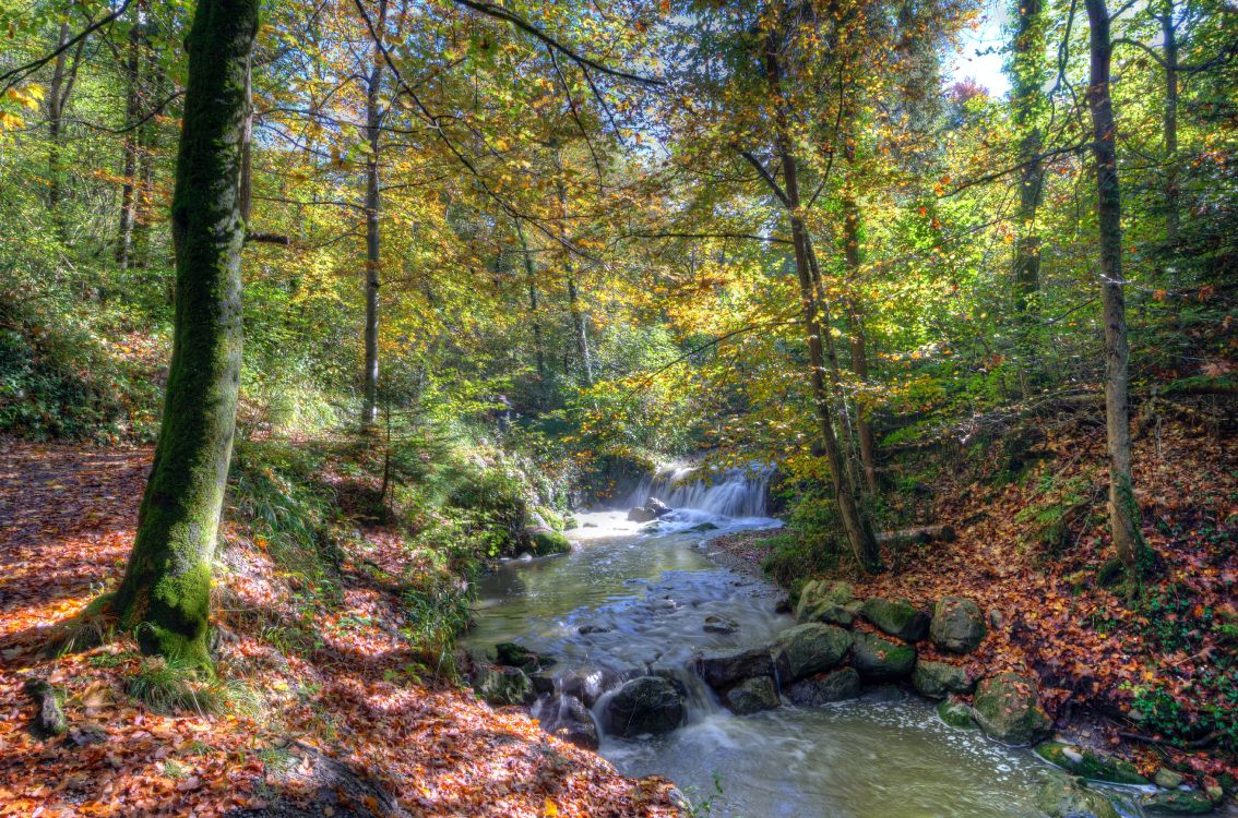 Nature, Eau, Paysage Naturel, Cours D'eau, Corps de L'eau. Wallpaper in 4897x3238 Resolution