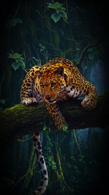 jaguar wallpaper iphone