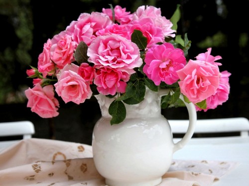 Image pink roses in white ceramic vase