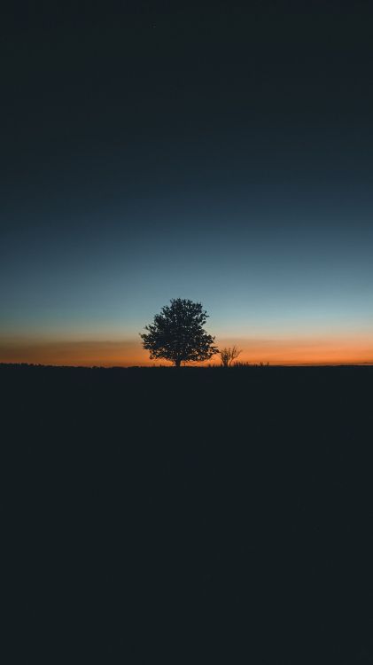 Atmosphäre, Naturlandschaft, Baum, Astronomisches Objekt, Gras. Wallpaper in 2160x3840 Resolution