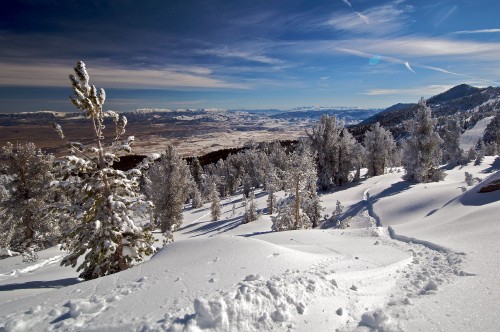 Image snow covered trees and mountains under blue sky during daytime