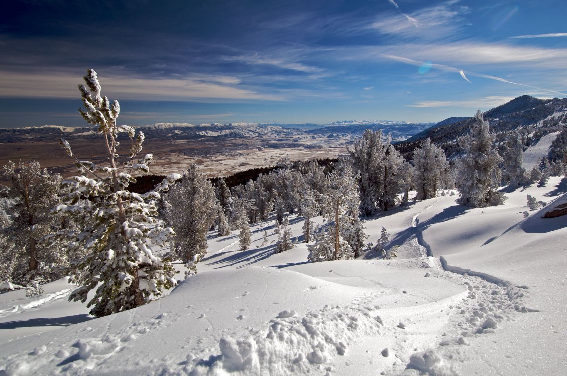 Árboles Cubiertos de Nieve y Montañas Bajo un Cielo Azul Durante el Día. Wallpaper in 4288x2848 Resolution