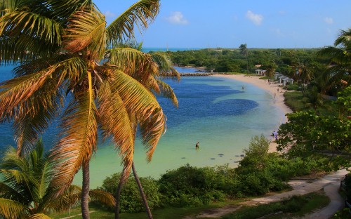 Image people on beach during daytime