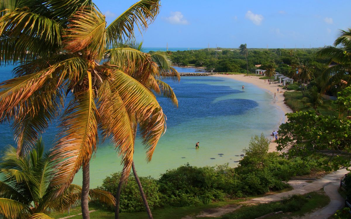 people on beach during daytime