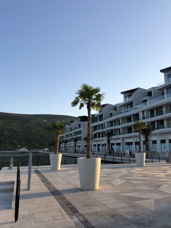 Immobilie, Eigentumswohnung, Städtebau, Wohngebiet, Woody Pflanze. Wallpaper in 1536x2048 Resolution