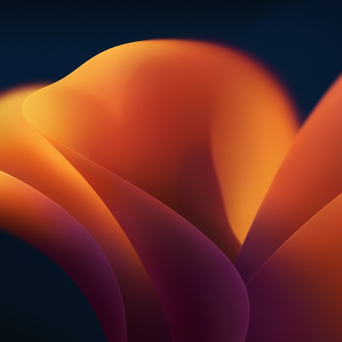 Image macOS 13 – Official Stock Wallpaper | Dark