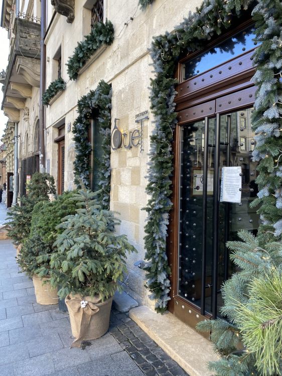 Fenster, Blumentopf, Tür, Haus, Zimmerpflanze. Wallpaper in 1536x2048 Resolution