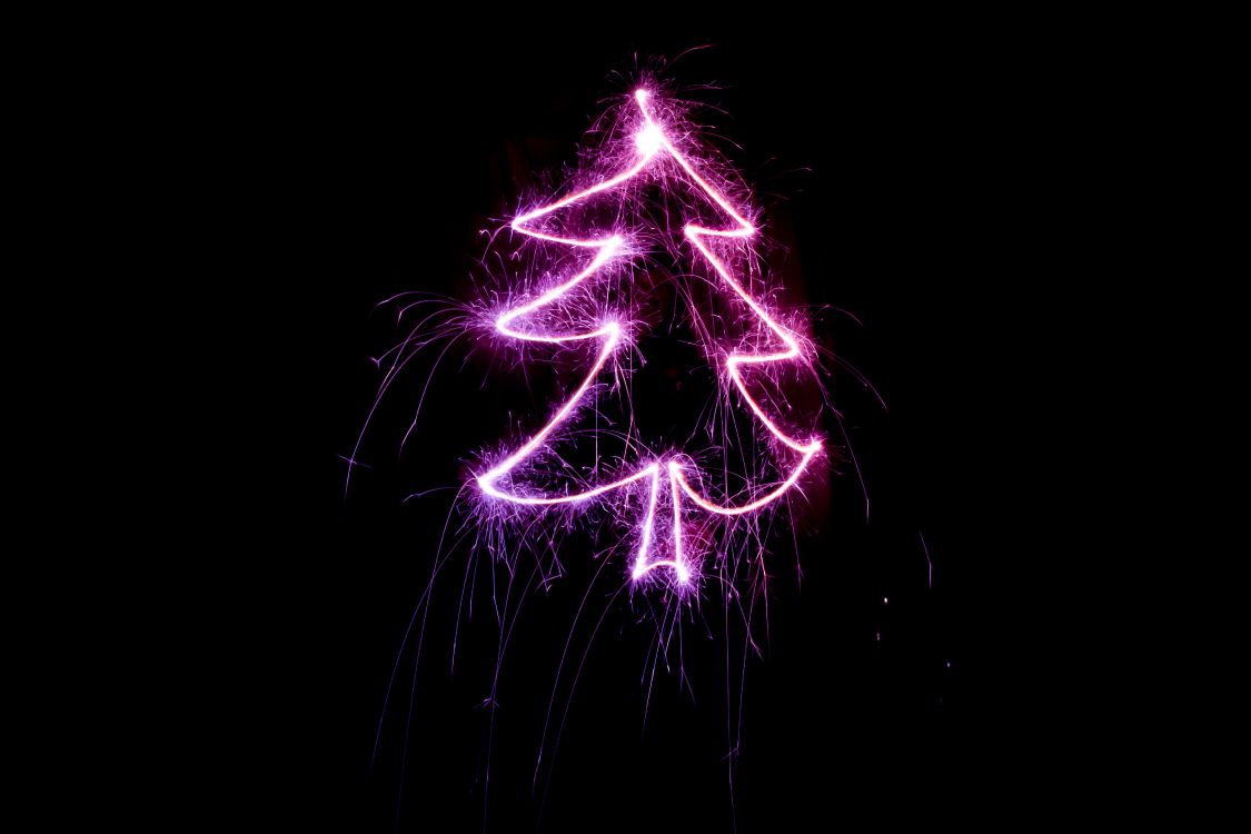 圣诞节那天, 圣诞树, 紫色的, 紫罗兰色, 光 壁纸 5184x3456 允许