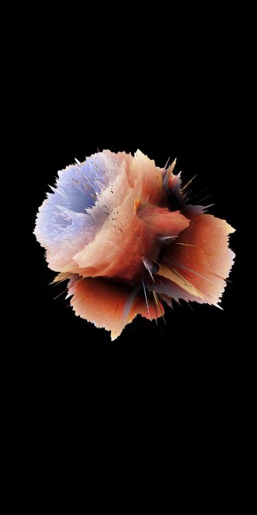 ZTE, ZTE Blade V9, Vivo V9, 中兴刀片v9 Vita, 中兴刀片v7 壁纸 1440x2880 允许