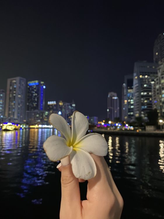 反射, 物理学, 科学, 手指, 大都会 壁纸 1536x2048 允许