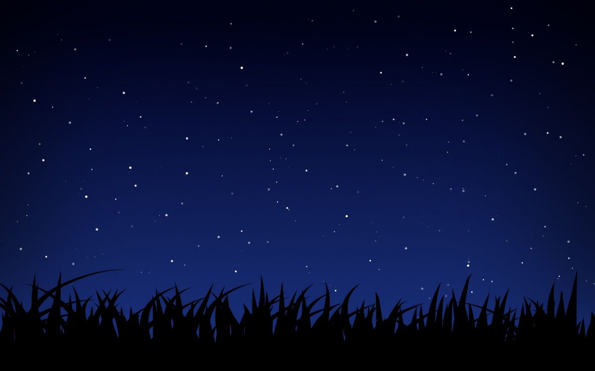 Silhouette of Trees Under Starry Night. Wallpaper in 2560x1600 Resolution