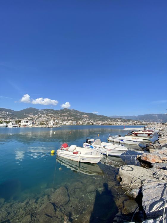 船只, 地平线 壁纸 1536x2048 允许