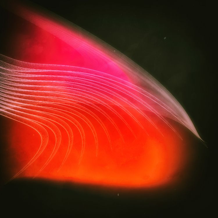 光, 红色的, 橙色, 粉红色, 空间 壁纸 3600x3600 允许