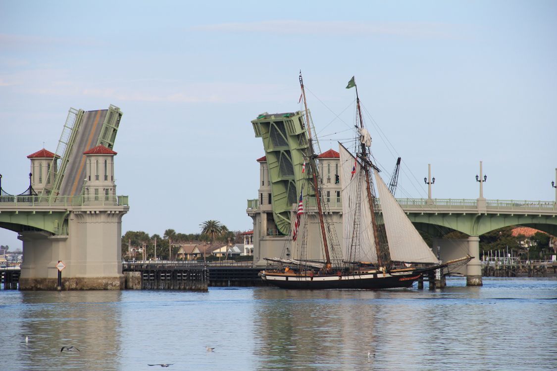 white and brown boat on water near bridge during daytime