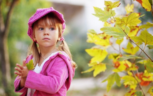 Image child, autumn, pink, tree, girl