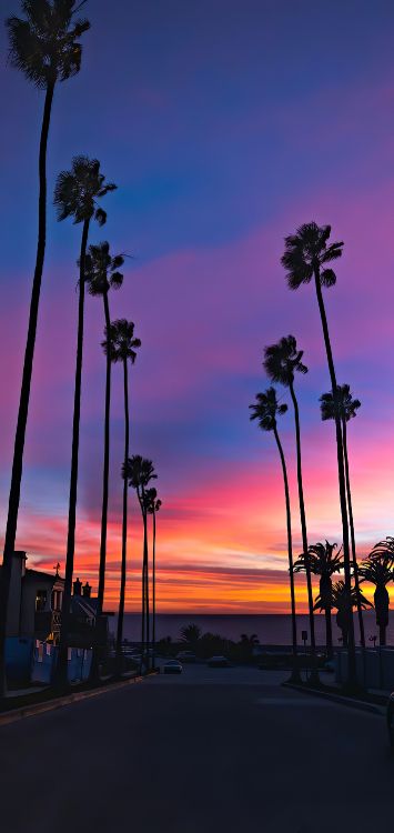 Afterglow, Eau, Corps de L'eau. Wallpaper in 1422x3000 Resolution