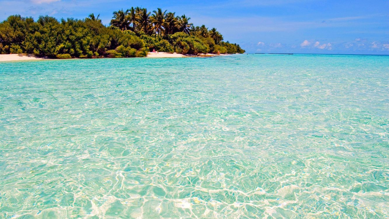 大海, 海洋, 热带地区, 沿海和海洋地貌, 加勒比 壁纸 2560x1440 允许