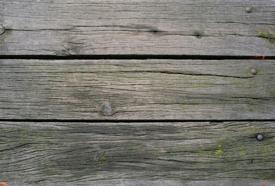 Planche de Bois Marron Avec Mousse Verte. Wallpaper in 3500x2363 Resolution