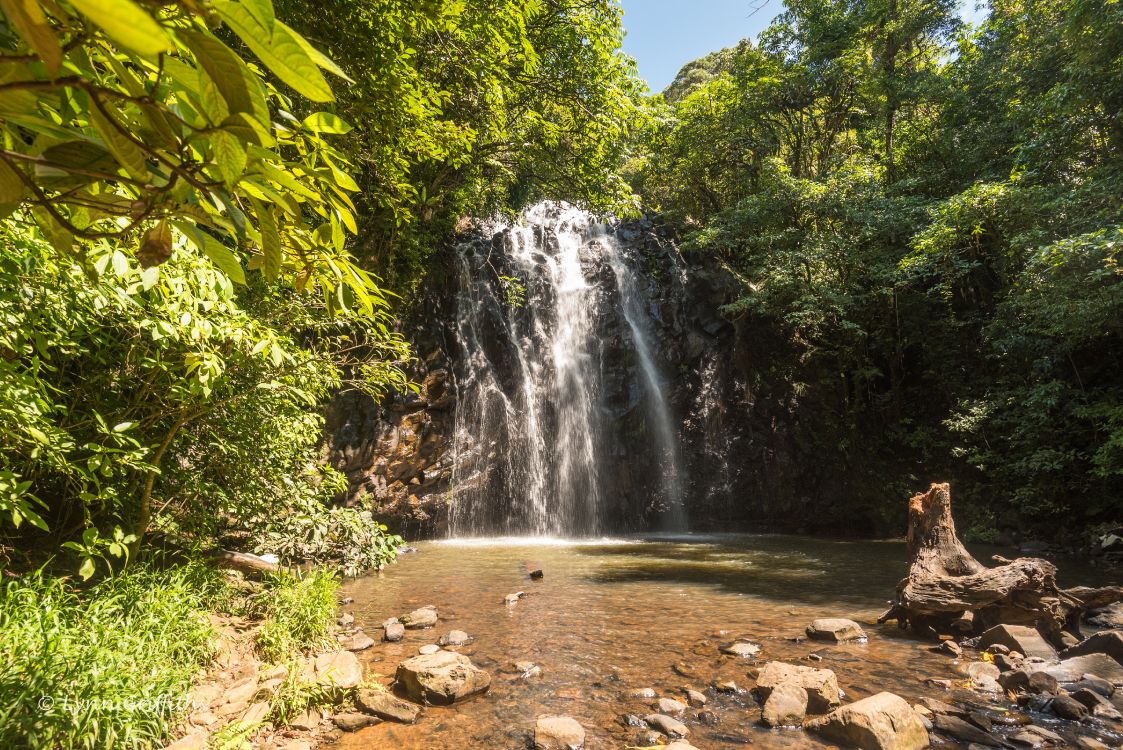 waterfalls in the middle of the forest during daytime