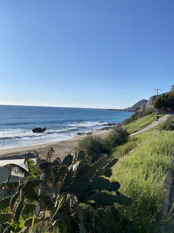 Costa, Ciencia, Biología, Agua, Ecorregión. Wallpaper in 1536x2048 Resolution