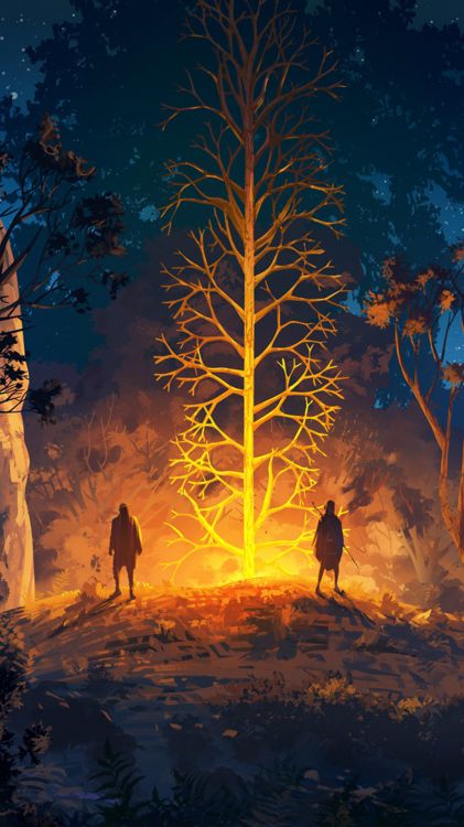 Forêt, Chaleur, Les Gens Dans la Nature, Plantes Ligneuses, Ombre. Wallpaper in 1080x1920 Resolution