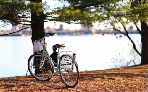 Image white city bike on brown sand near body of water during daytime