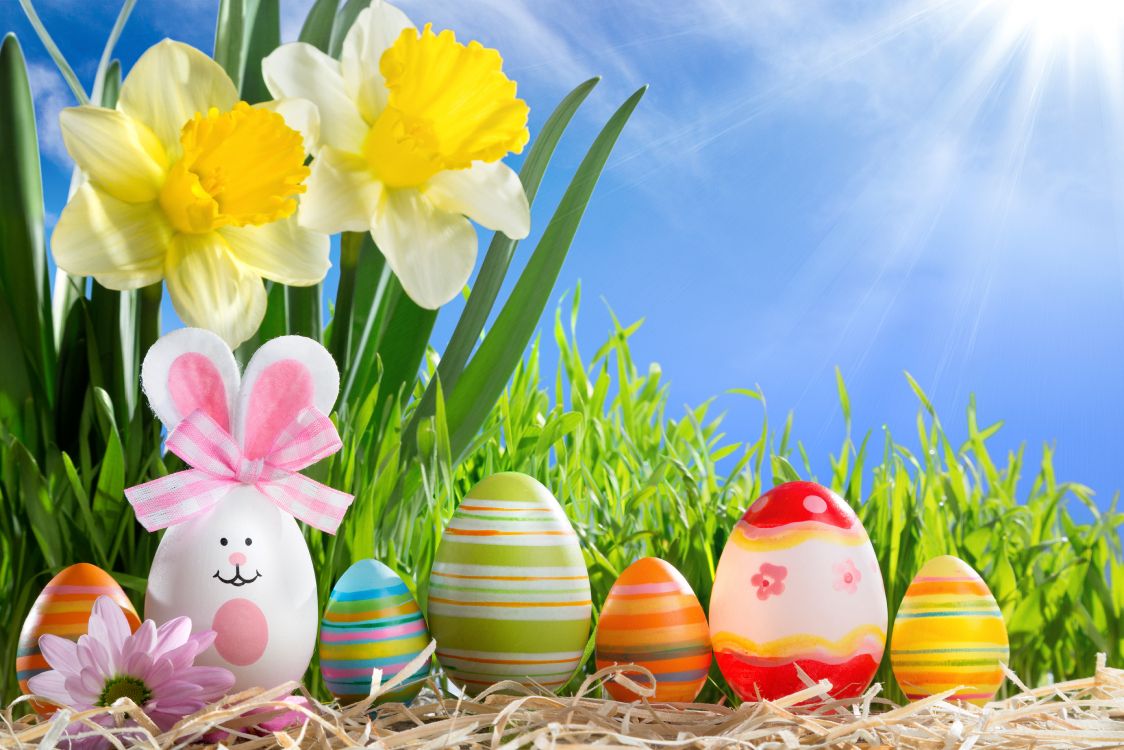 Easter Egg, Spring, Holiday, Easter, Grass. Wallpaper in 7360x4907 Resolution