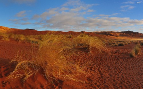 Image brown grass field under blue sky during daytime