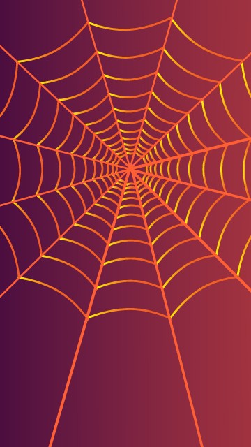 Image orange spider web in close up photography