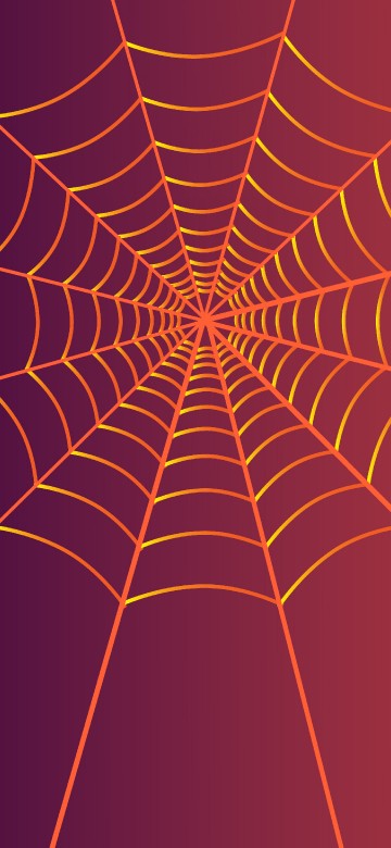 Image orange spider web in close up photography