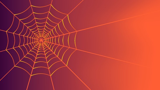 Image orange spider web in close up photography