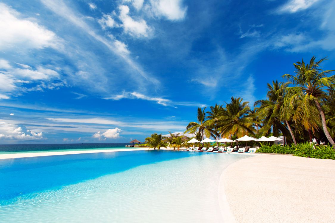 Palm Trees on Beach Shore Under Blue Sky During Daytime. Wallpaper in 5760x3840 Resolution