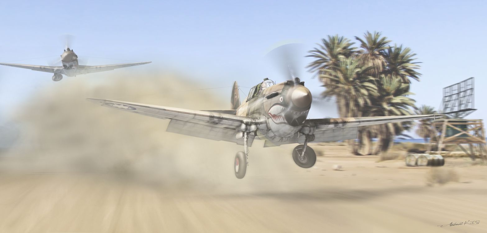 Avion de Chasse Gris et Noir Sur Champ Brun Pendant la Journée. Wallpaper in 4797x2295 Resolution