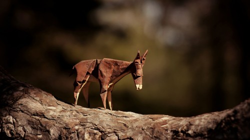 Image brown horse on brown rock