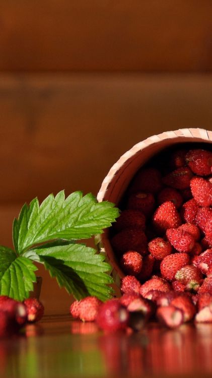 fragaria, strawberry, Wild strawberry, berry, fruit