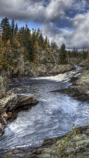 Image green trees beside river under white clouds and blue sky during daytime
